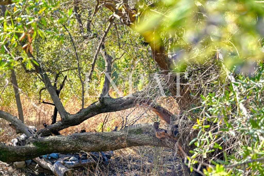 1 quarto Quinta/Casa Rural para venda em Sayalonga - 235 000 € (Ref: 9357086)