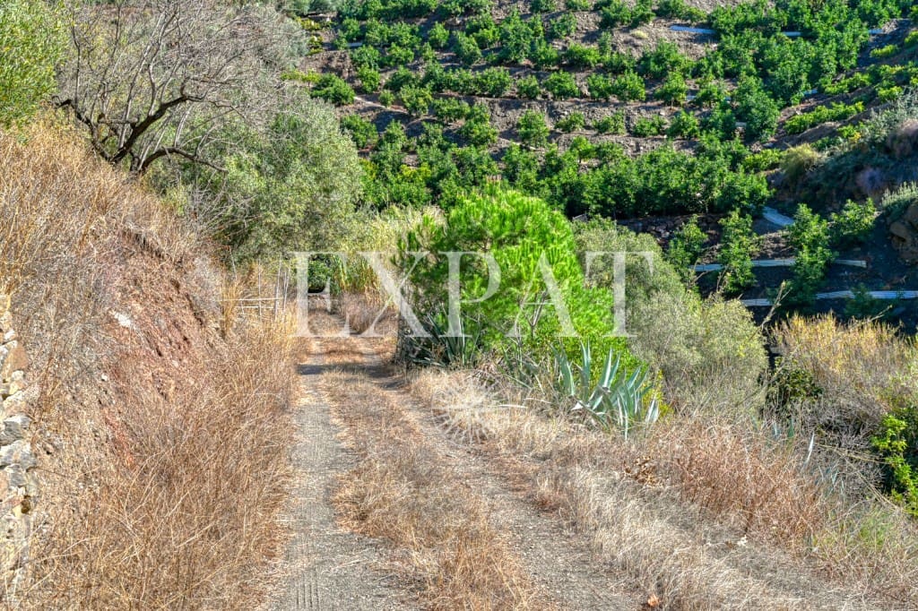 1 quarto Quinta/Casa Rural para venda em Sayalonga - 235 000 € (Ref: 9357086)