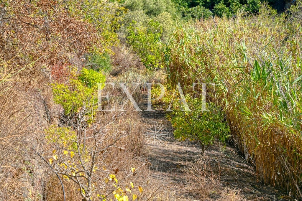 1 quarto Quinta/Casa Rural para venda em Sayalonga - 235 000 € (Ref: 9357086)