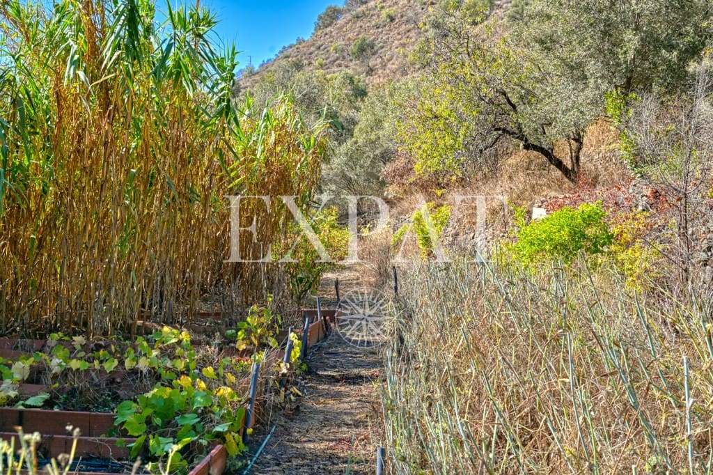 1 quarto Quinta/Casa Rural para venda em Sayalonga - 235 000 € (Ref: 9357086)