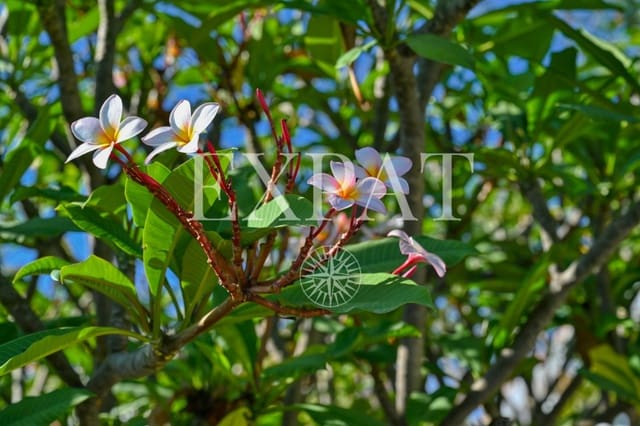 3 soveværelse Villa til salg i Almayate, Vélez-Málaga - € 545.000 (Ref: 9371791)