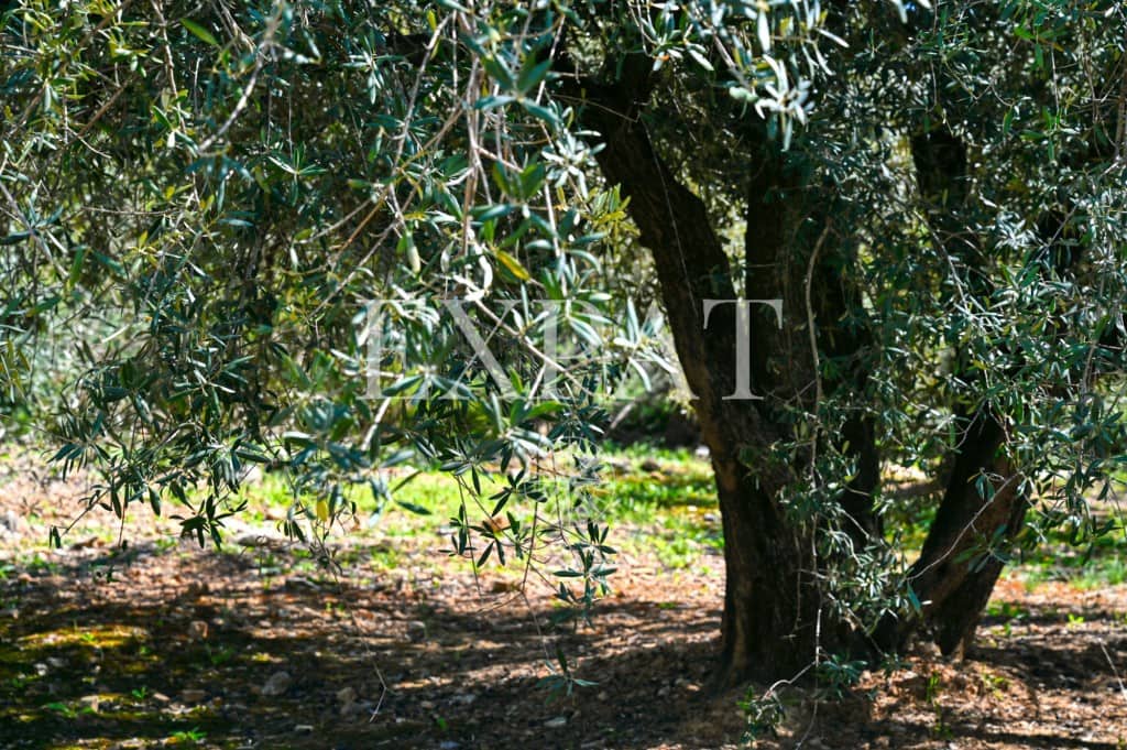 5 sypialnia Finka/Dom wiejski na sprzedaż w Alcaucin z basenem - 415 000 € (Ref: 9421993)