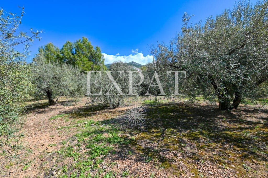 5 sypialnia Finka/Dom wiejski na sprzedaż w Alcaucin z basenem - 415 000 € (Ref: 9421993)