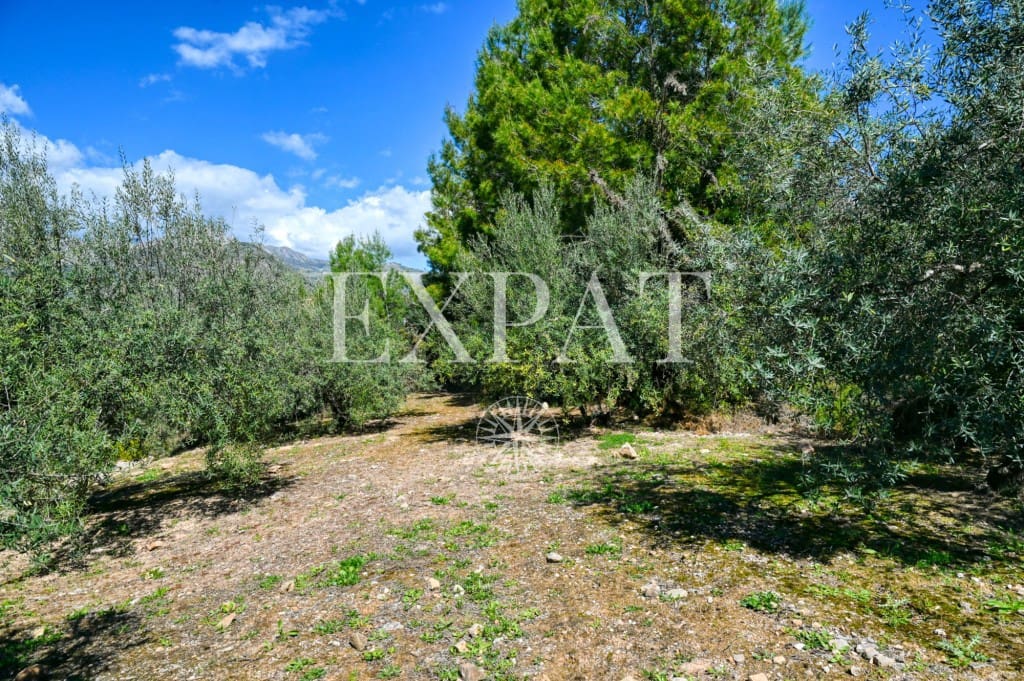 5 sypialnia Finka/Dom wiejski na sprzedaż w Alcaucin z basenem - 415 000 € (Ref: 9421993)