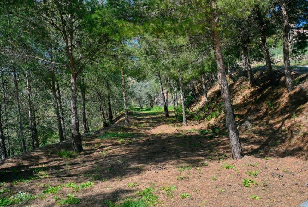 6 soverom Finca/Herregård til salgs i Arenas med svømmebasseng - € 749 000 (Ref: 9488655)