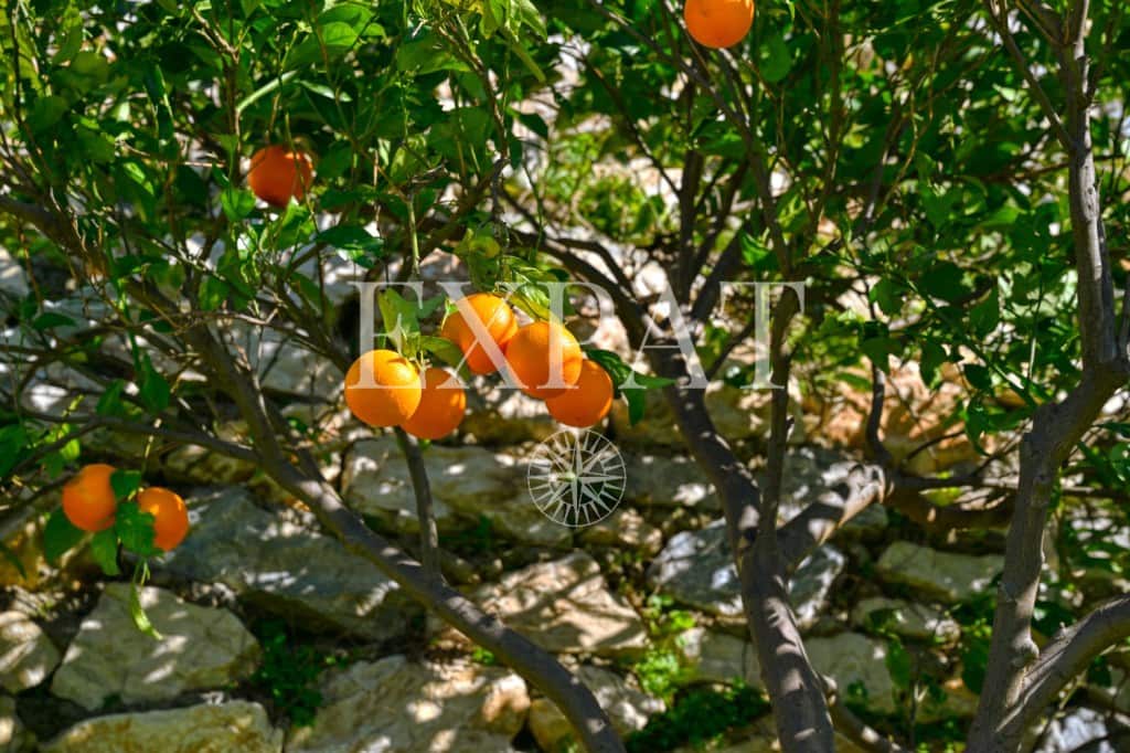 2 bedroom Finca/Country House for sale in Frigiliana with pool - € 339,000 (Ref: 9619003)