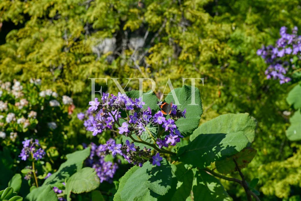 3 slaapkamer Finca/Landhuis te koop in Algarrobo met zwembad - € 550.000 (Ref: 9625354)