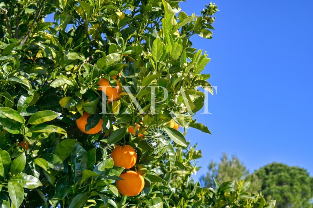 5 soverom Finca/Herregård til salgs i Almunecar med svømmebasseng garasje - € 795 000 (Ref: 9633929)