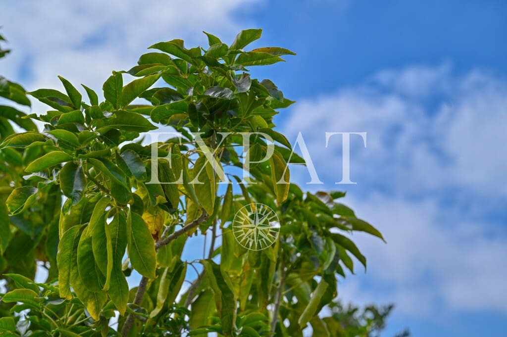 3 bedroom Finca/Country House for sale in Arenas with pool - € 425,000 (Ref: 9726398)