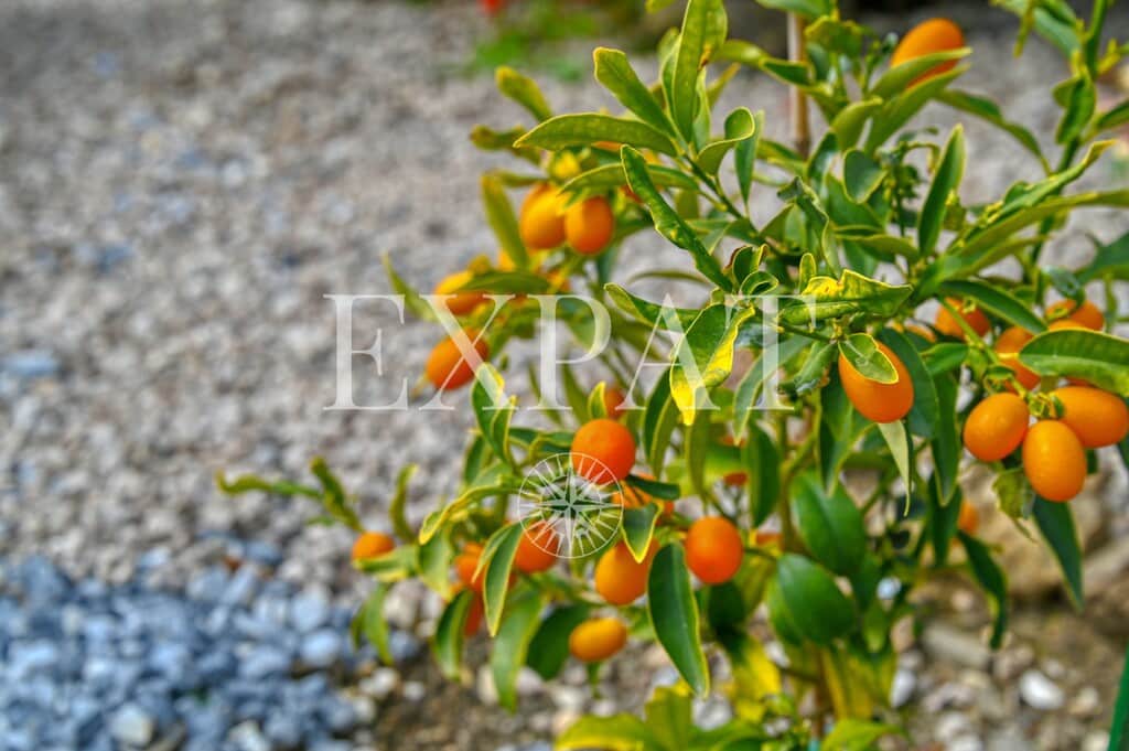 3 bedroom Finca/Country House for sale in Arenas with pool - € 425,000 (Ref: 9726398)