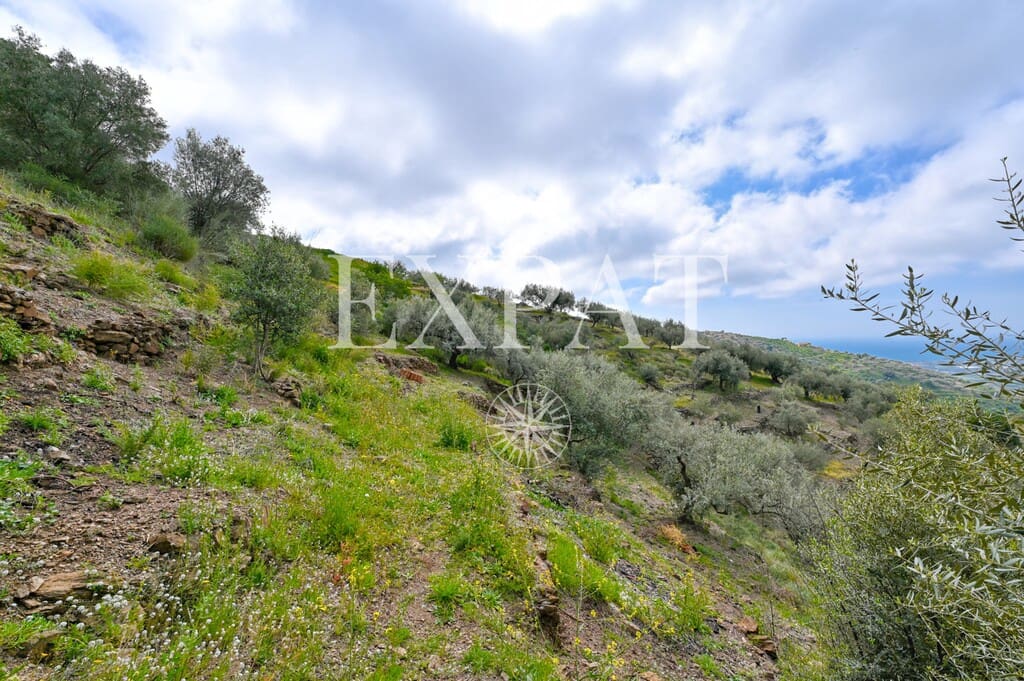 3 bedroom Finca/Country House for sale in Arenas with pool - € 425,000 (Ref: 9726398)