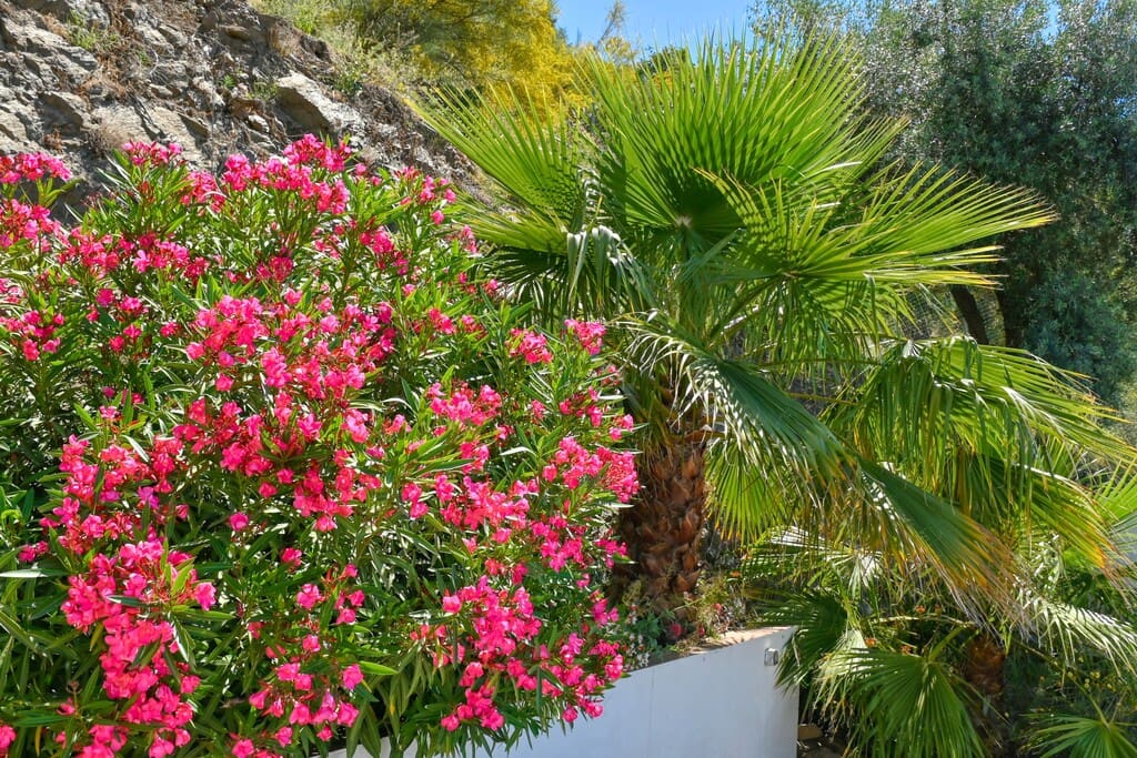 3 chambre Finca/Maison de Campagne à vendre à Arenas avec piscine - 399 000 € (Ref: 9726398)