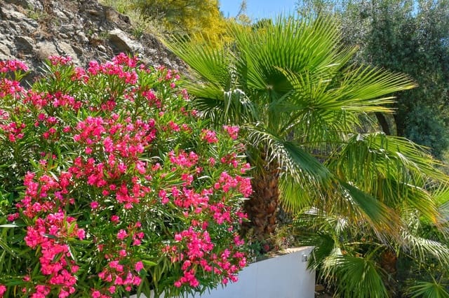 3 bedroom Finca/Country House for sale in Arenas with pool - € 399,000 (Ref: 9726398)