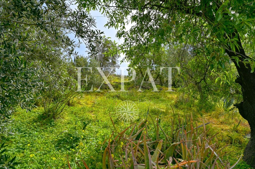 2 soverom Finca/Herregård til salgs i Arenas - € 195 000 (Ref: 9763559)