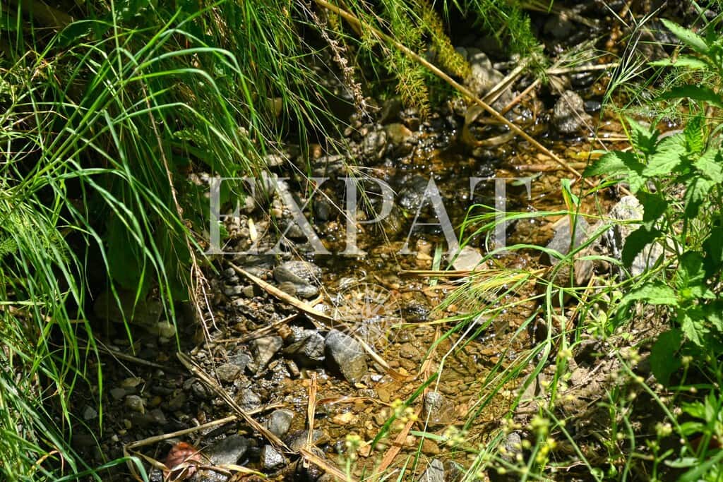 2 Zimmer Finca/Landgut zu verkaufen in Sayalonga - 210.000 € (Ref: 9788242)