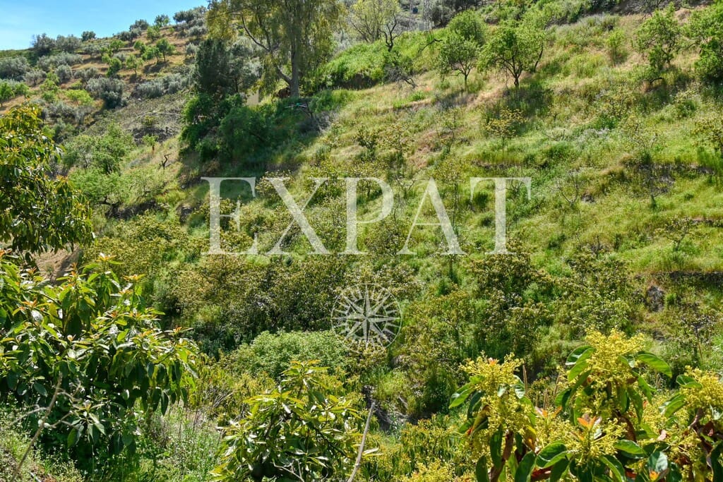 2 Zimmer Finca/Landgut zu verkaufen in Sayalonga - 210.000 € (Ref: 9788242)