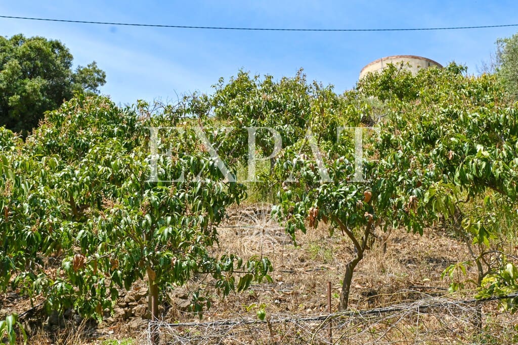 2 Zimmer Finca/Landgut zu verkaufen in Sayalonga - 210.000 € (Ref: 9788242)