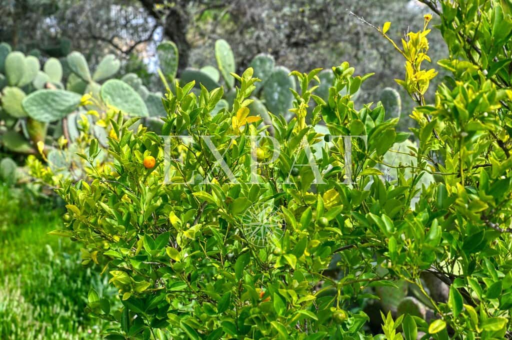 3 soveværelse Finca/Landehus til salg i Algarrobo med swimmingpool - € 950.000 (Ref: 9794348)