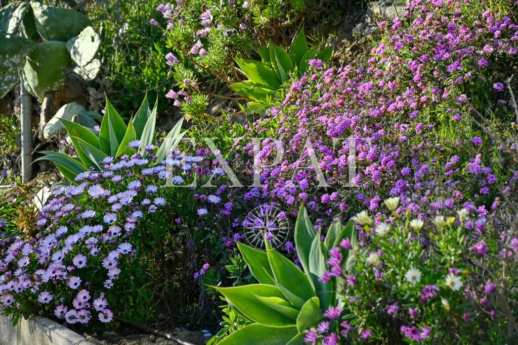 3 soveværelse Finca/Landehus til salg i Algarrobo med swimmingpool - € 950.000 (Ref: 9794348)