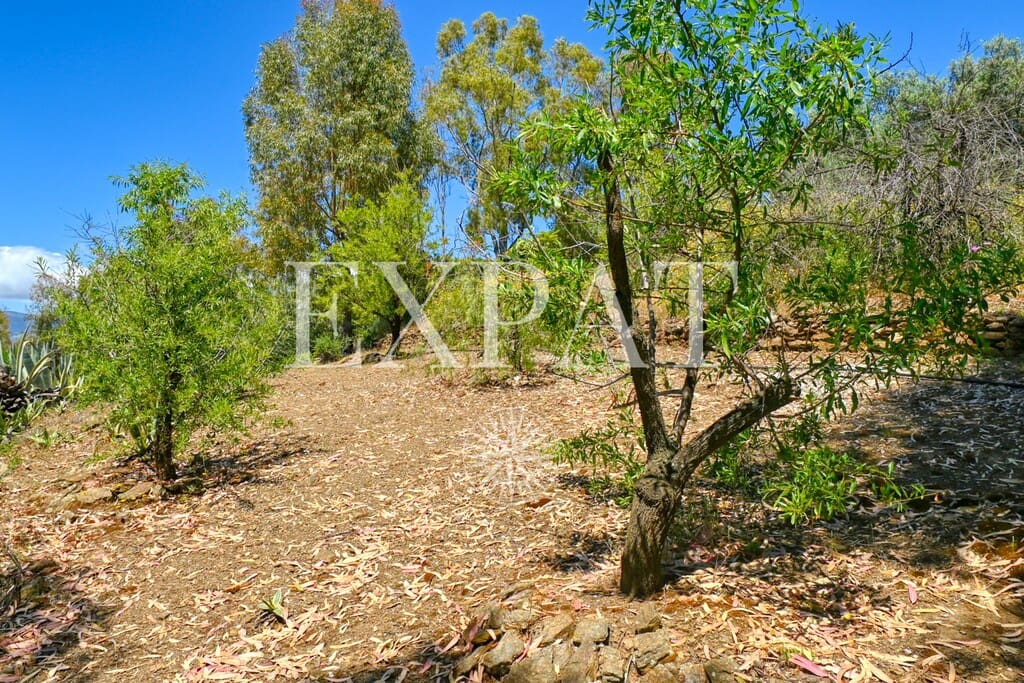 3 soverom Finca/Herregård til salgs i Competa med svømmebasseng - € 435 000 (Ref: 9831073)