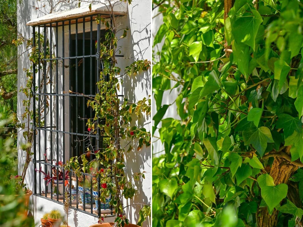4 bedroom Finca/Country House for sale in Canillas de Aceituno with pool - € 875,000 (Ref: 9833484)
