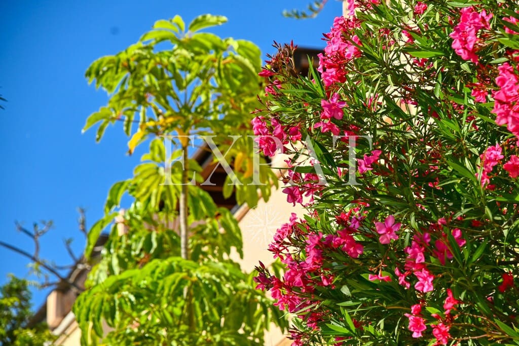 3 bedroom Apartment for sale in Almayate with pool - € 430,000 (Ref: 9891908)