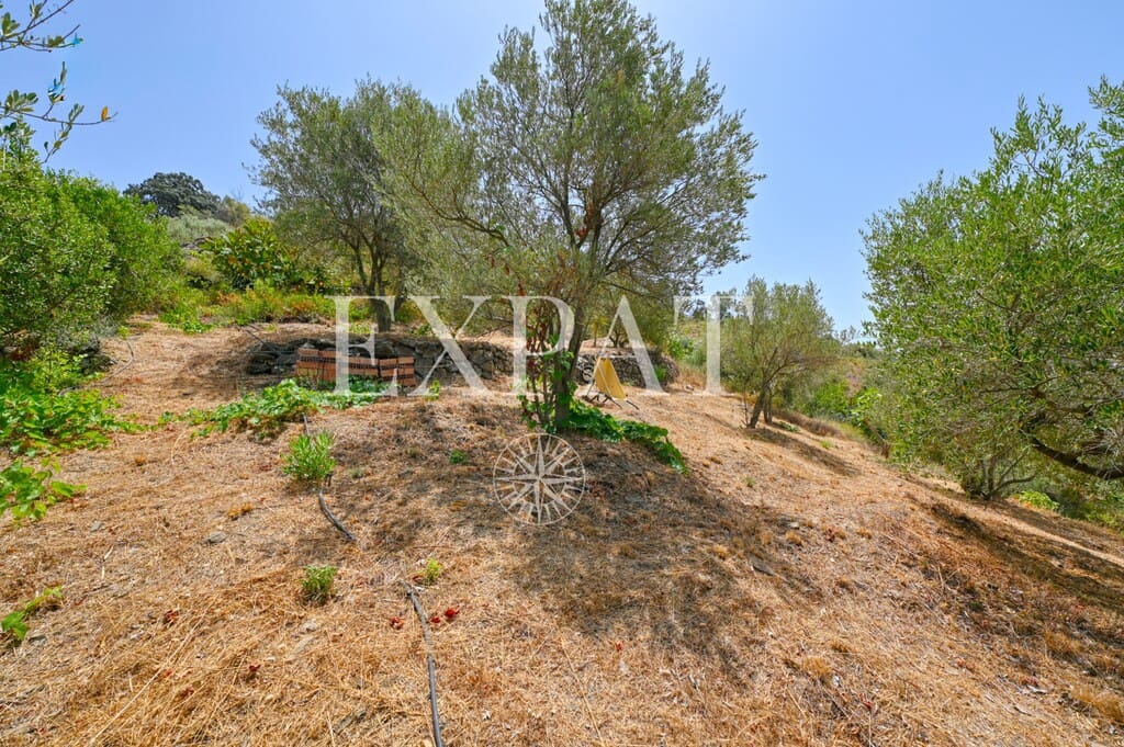 2 camera da letto Finca/Casa di Campagna in vendita in Competa - 260.000 € (Rif: 9994844)
