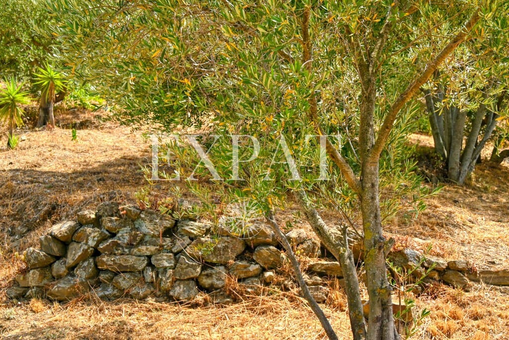2 camera da letto Finca/Casa di Campagna in vendita in Competa - 260.000 € (Rif: 9994844)