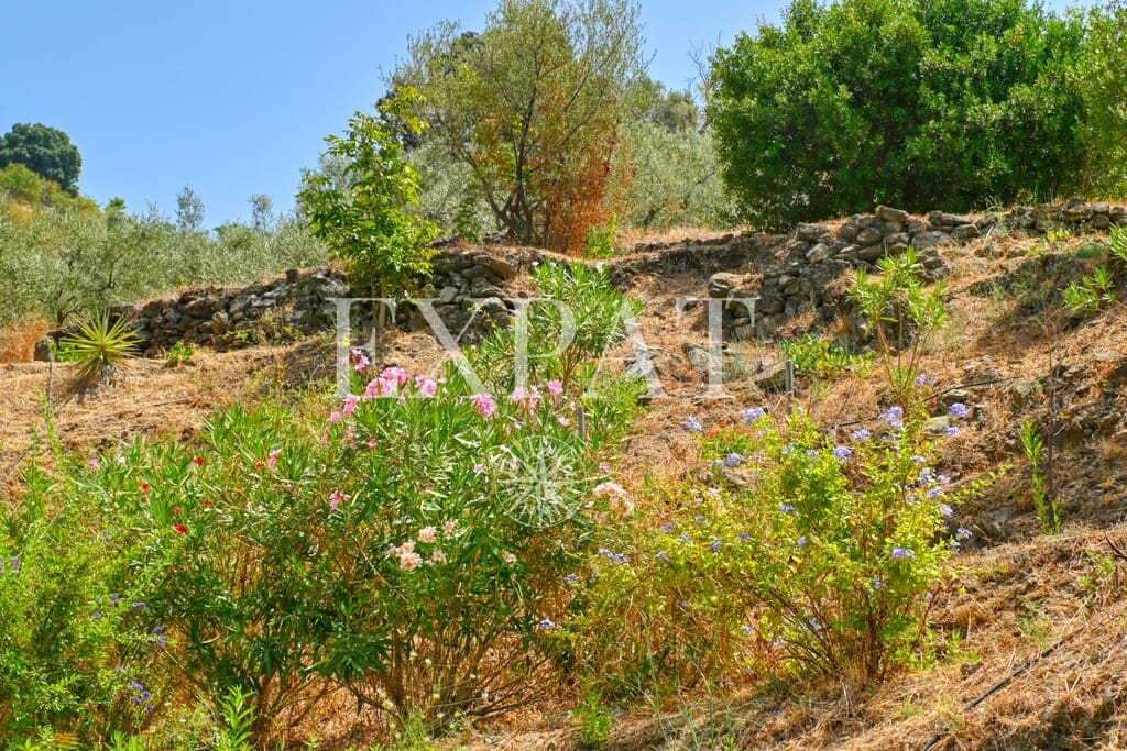 2 camera da letto Finca/Casa di Campagna in vendita in Competa - 260.000 € (Rif: 9994844)