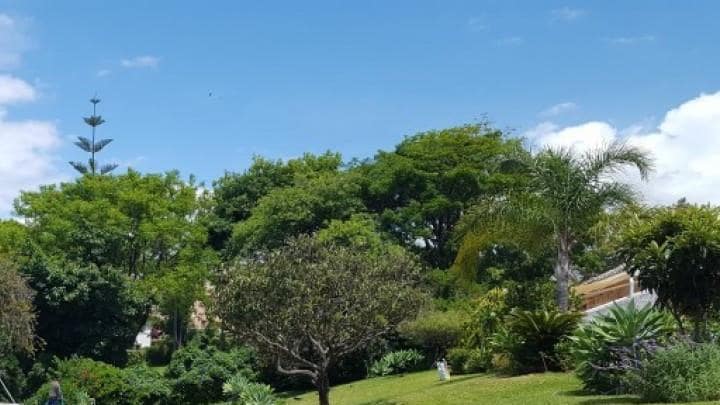 2 Zimmer Apartment zu verkaufen in Marbella mit Pool - 299.000 € (Ref: 10001451)