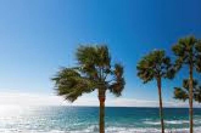3 slaapkamer Appartement te koop in Marbella met zwembad garage - € 1.500.000 (Ref: 10001707)