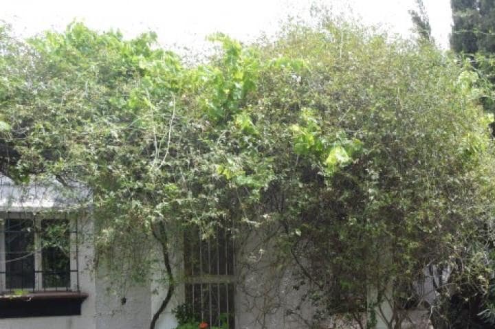 Tomt till salu i Marbella - 410 000 € (Ref: 10001748)