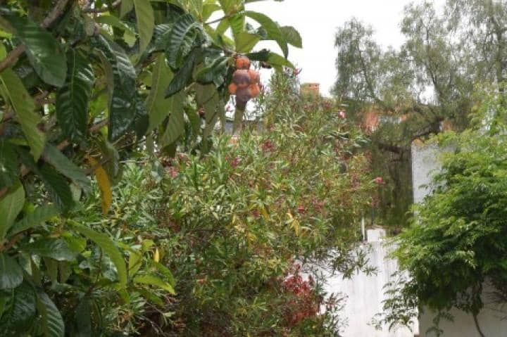 Tomt till salu i Marbella - 410 000 € (Ref: 10001748)