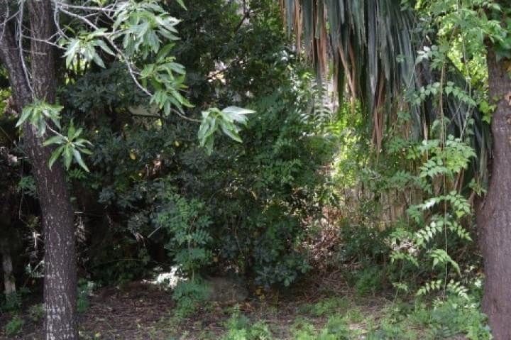 Tomt till salu i Marbella - 410 000 € (Ref: 10001748)