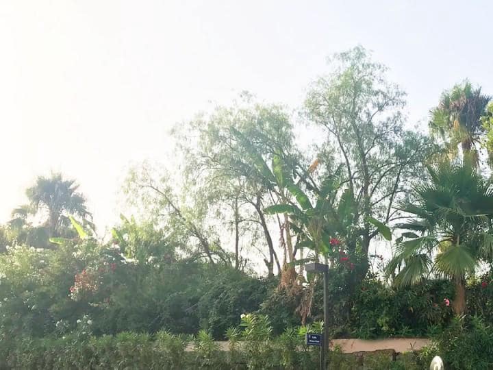 Area Edificabile in vendita in Marbella - 1.000.000 € (Rif: 10001758)