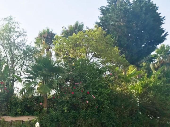 Area Edificabile in vendita in Marbella - 1.000.000 € (Rif: 10001758)