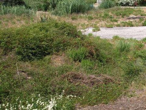 Byggetomt til salgs i Benahavis - € 1 500 000 (Ref: 10001789)