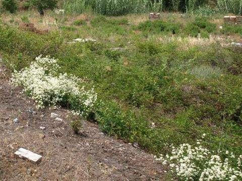Byggetomt til salgs i Benahavis - € 1 500 000 (Ref: 10001789)