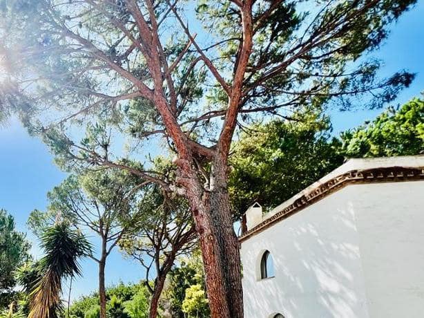 3 Zimmer Apartment zu verkaufen in Marbella mit Pool Garage - 545.000 € (Ref: 10002112)