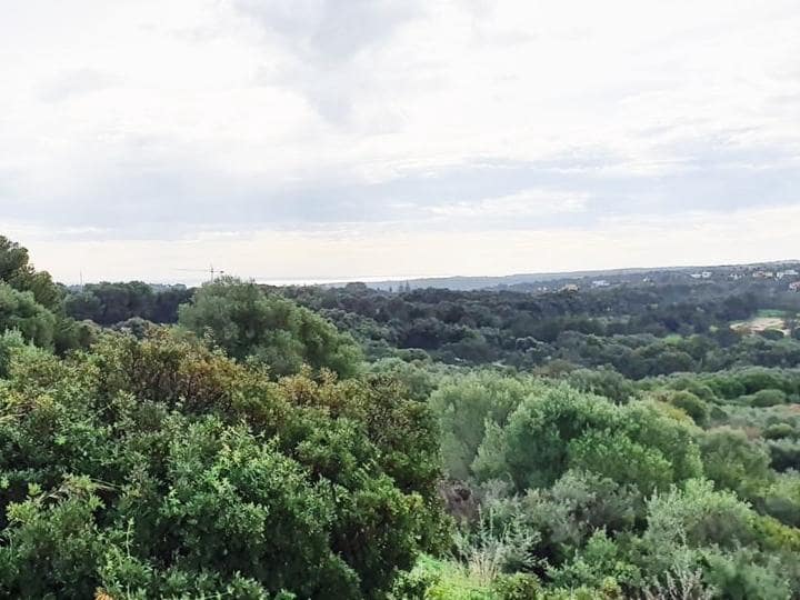 Działka budowlana na sprzedaż w Sotogrande - 850 000 € (Ref: 10002210)