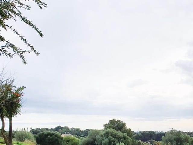 Działka budowlana na sprzedaż w Sotogrande Alto, San Roque - 850 000 € (Ref: 10002210)