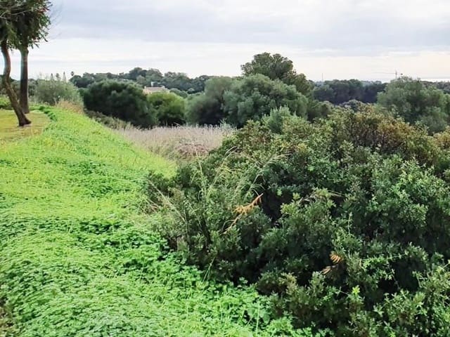 Działka budowlana na sprzedaż w Sotogrande Alto, San Roque - 850 000 € (Ref: 10002210)