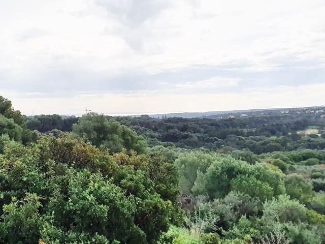 Działka budowlana na sprzedaż w Sotogrande Alto, San Roque - 850 000 € (Ref: 10002210)