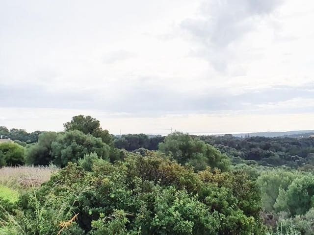Działka budowlana na sprzedaż w Sotogrande Alto, San Roque - 850 000 € (Ref: 10002210)