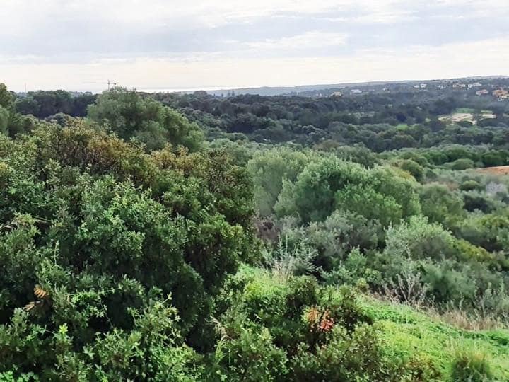 Działka budowlana na sprzedaż w Sotogrande - 850 000 € (Ref: 10002210)