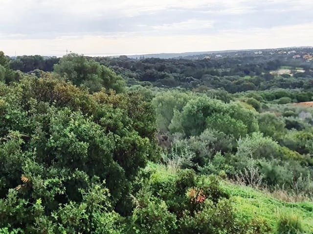Działka budowlana na sprzedaż w Sotogrande Alto, San Roque - 850 000 € (Ref: 10002210)