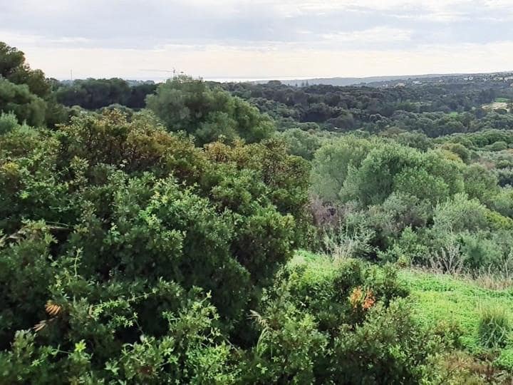 Działka budowlana na sprzedaż w Sotogrande - 850 000 € (Ref: 10002210)
