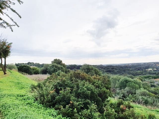 Działka budowlana na sprzedaż w Sotogrande Alto, San Roque - 850 000 € (Ref: 10002210)