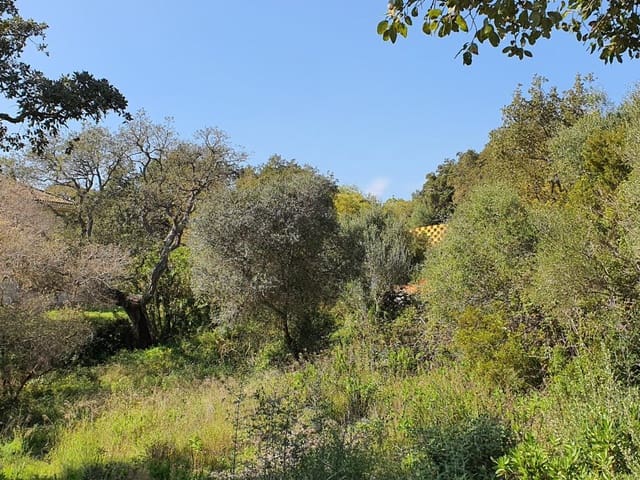Działka budowlana na sprzedaż w Sotogrande, San Roque - 1 000 000 € (Ref: 10002211)