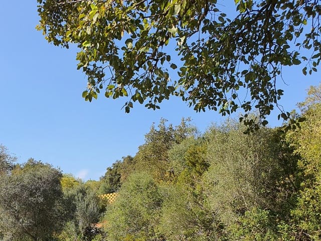 Działka budowlana na sprzedaż w Sotogrande, San Roque - 1 000 000 € (Ref: 10002211)